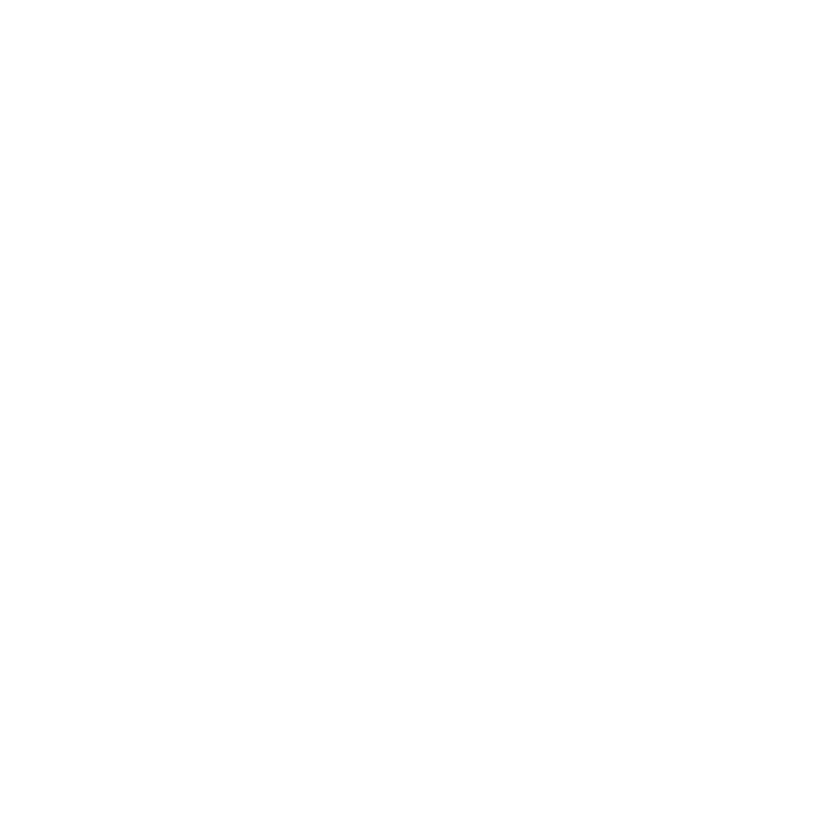 2S IMMO
